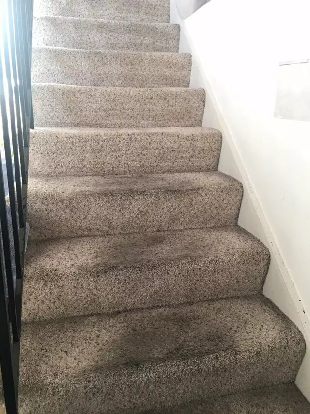 All Pro Carpet Solutions