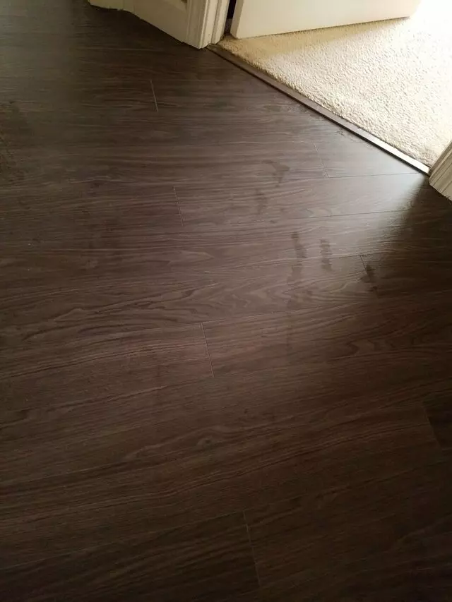 All Pro Carpet Solutions
