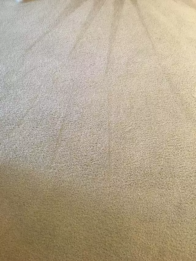 All Pro Carpet Solutions