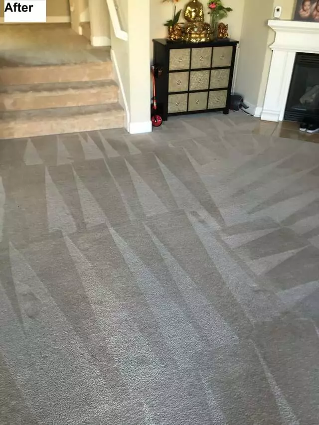 All Pro Carpet Solutions