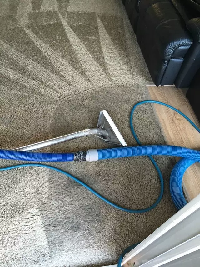 All Pro Carpet Solutions