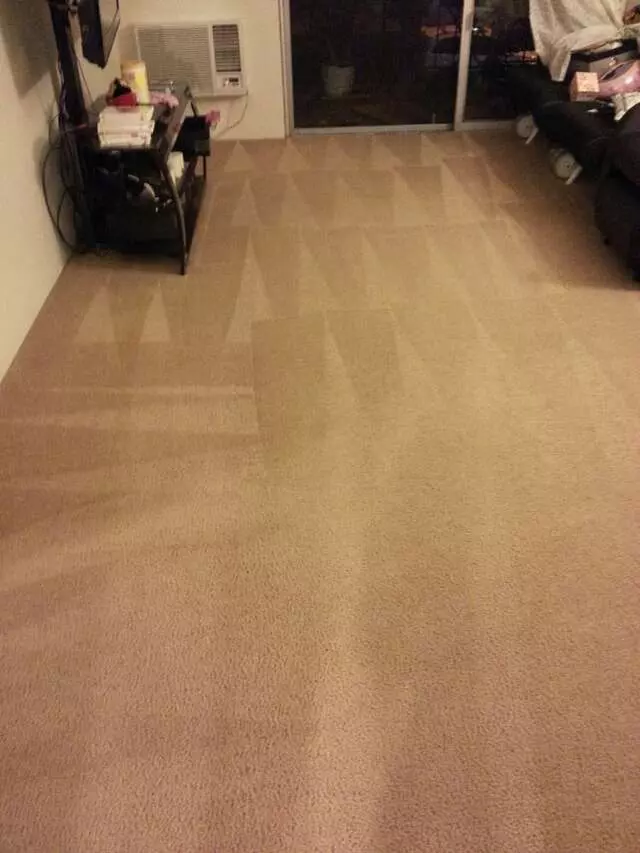 All Pro Carpet Solutions
