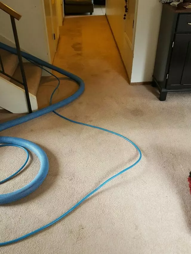 All Pro Carpet Solutions