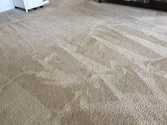All Pro Carpet Solutions