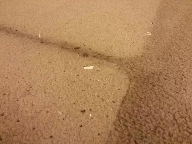 All Pro Carpet Solutions