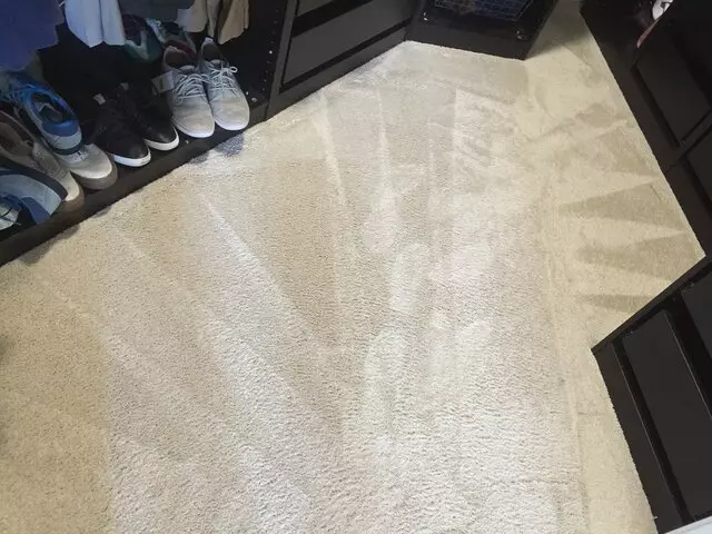 All Pro Carpet Solutions