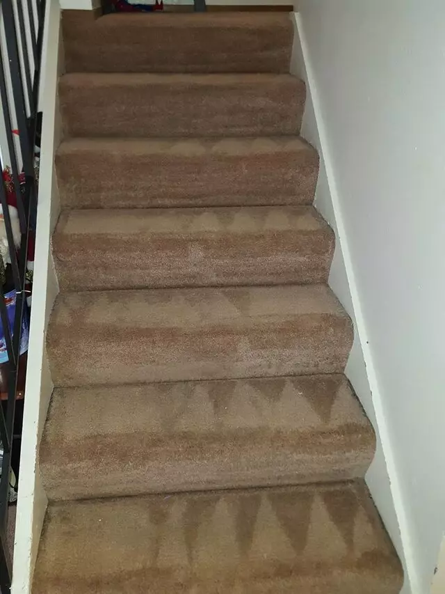 All Pro Carpet Solutions