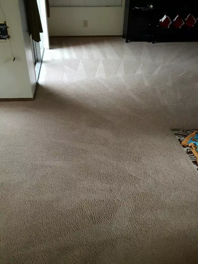 All Pro Carpet Solutions