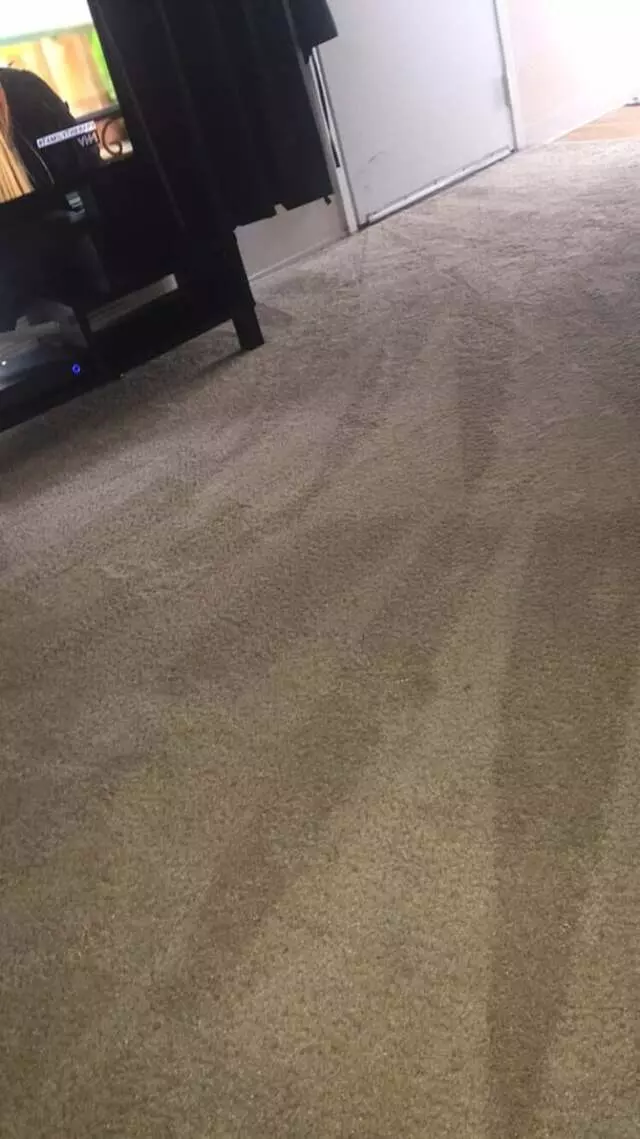 All Pro Carpet Solutions