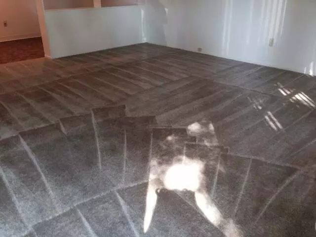 All Pro Carpet Solutions