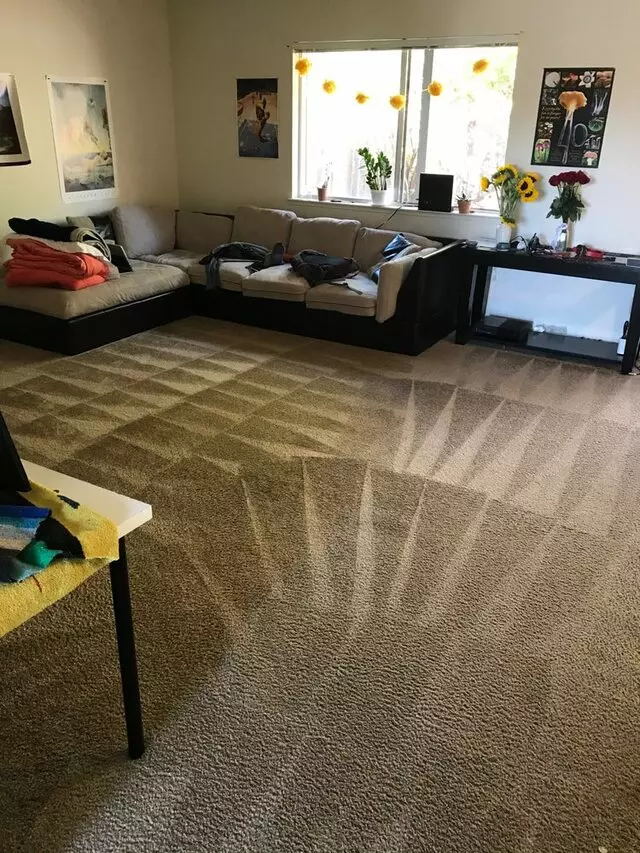 All Pro Carpet Solutions