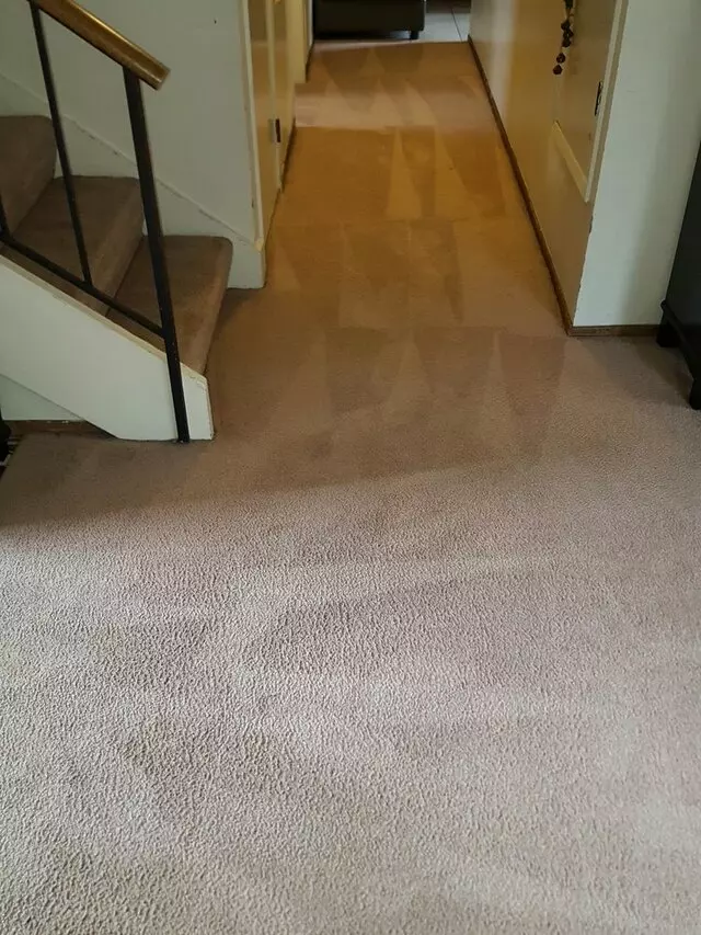 All Pro Carpet Solutions