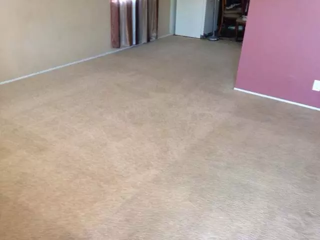 All Pro Carpet Solutions