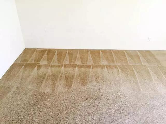 All Pro Carpet Solutions