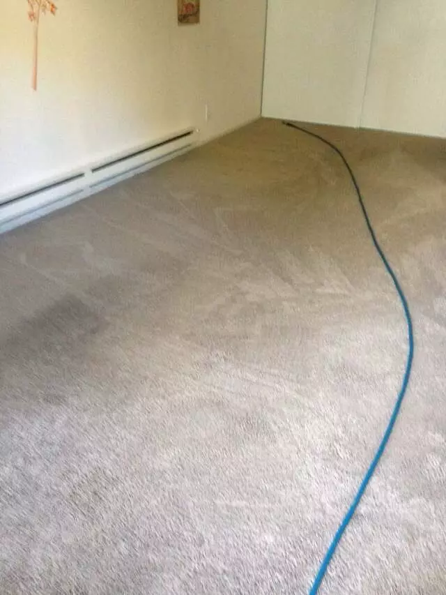 All Pro Carpet Solutions