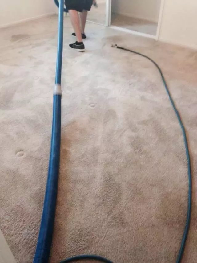 All Pro Carpet Solutions