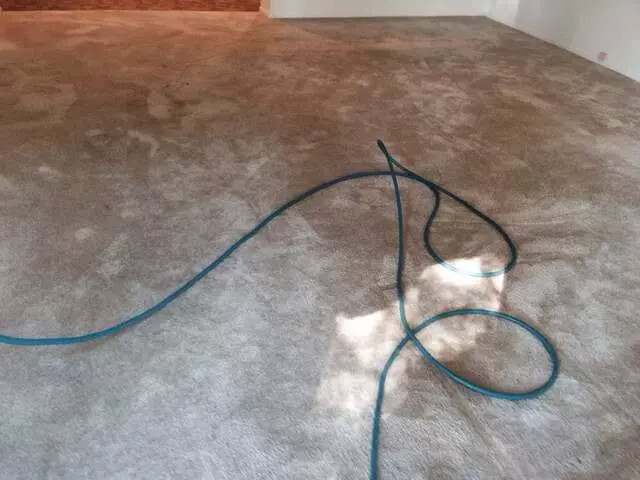 All Pro Carpet Solutions