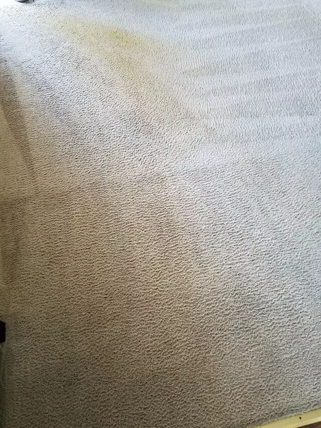 All Pro Carpet Solutions