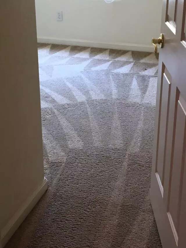 All Pro Carpet Solutions
