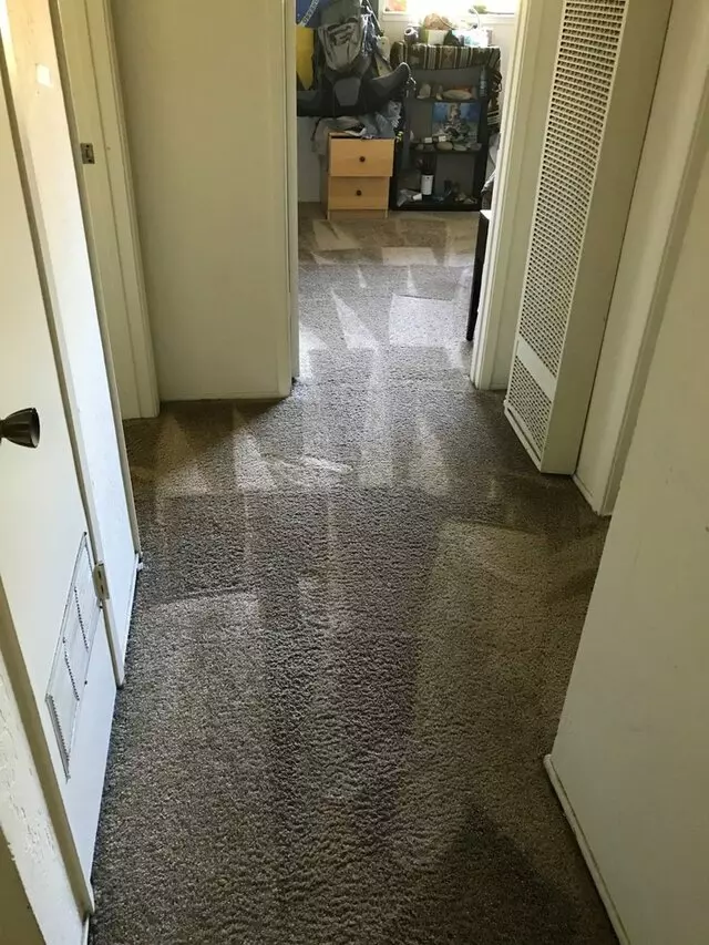All Pro Carpet Solutions