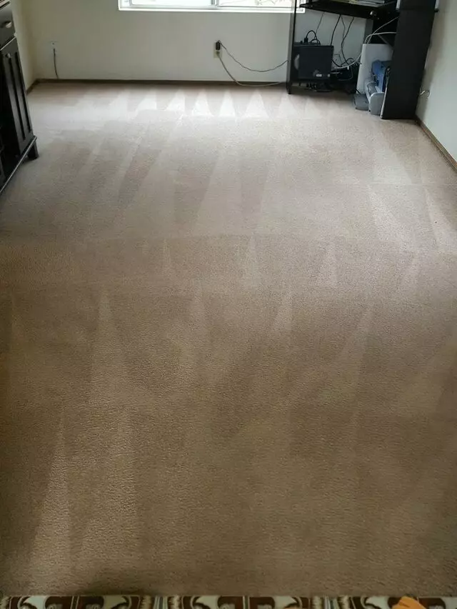 All Pro Carpet Solutions