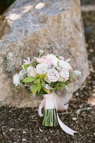 Apis Floral