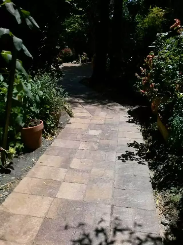 Polo's Landscaping