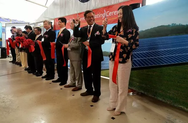 Auxin Solar
