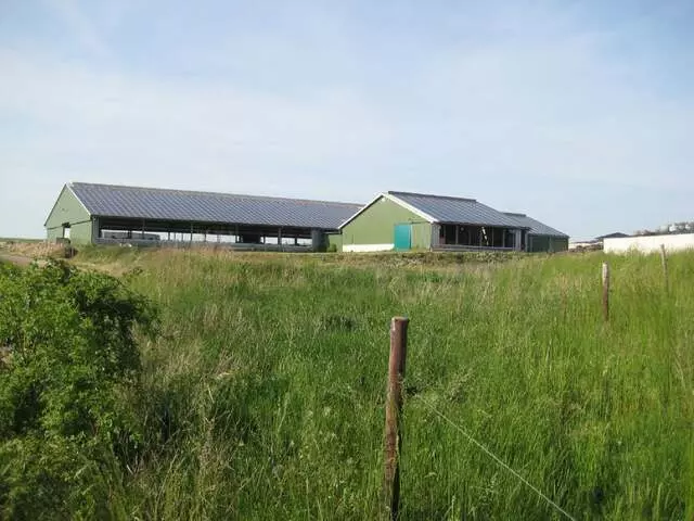 Auxin Solar