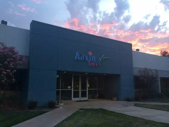 Auxin Solar