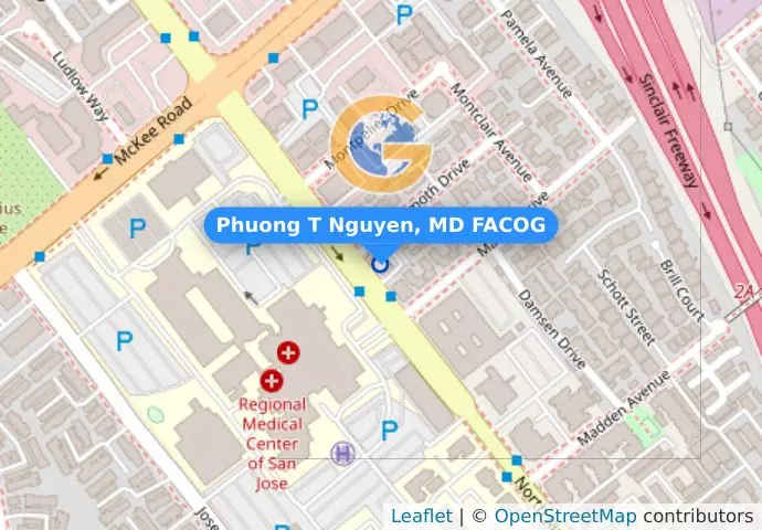 Phuong T Nguyen, MD FACOG