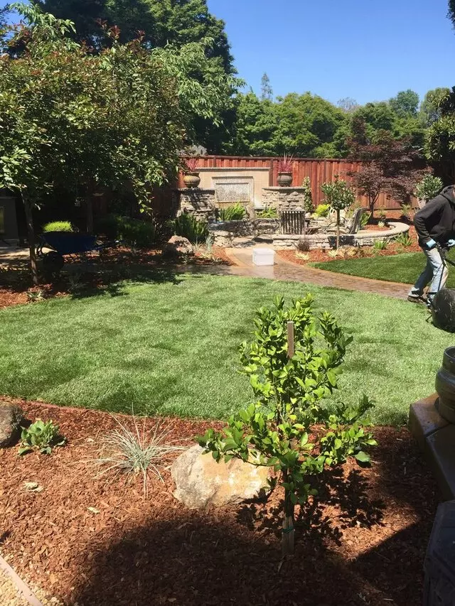 MB Landscaping