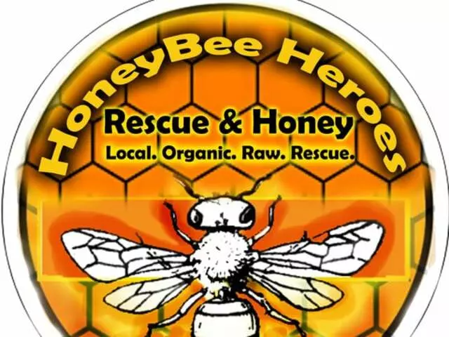 HoneyBeeHeroes