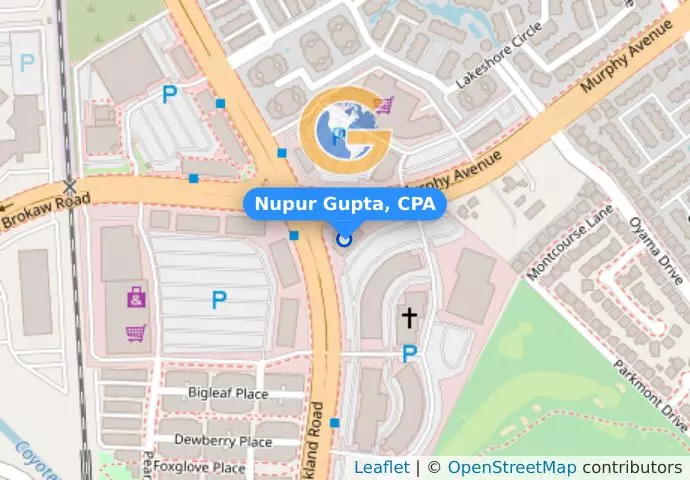 Nupur Gupta, CPA