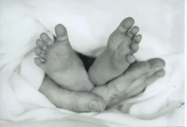 Journey Through Childbirth