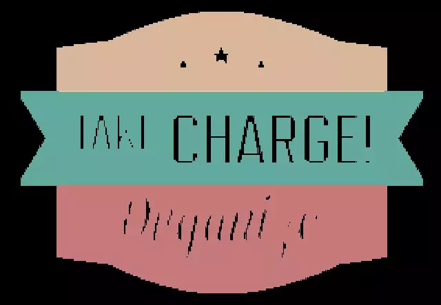 Take Charge! Organize