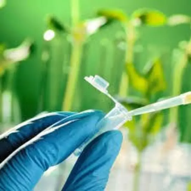Blasterarden Biotech