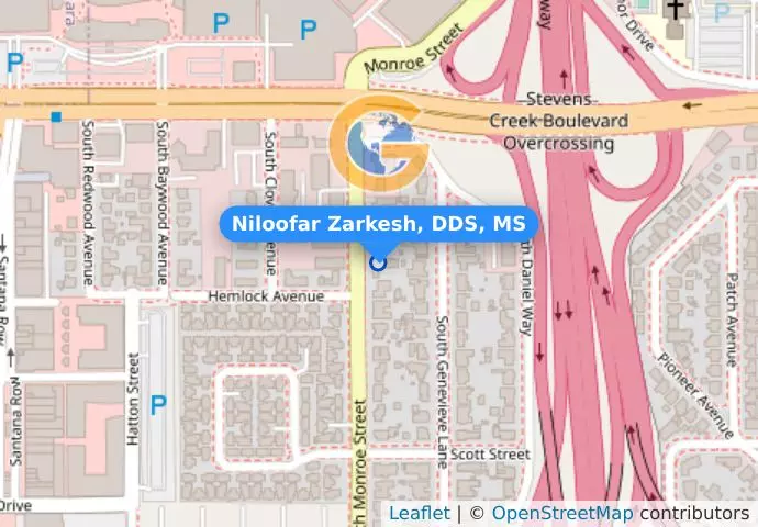 Niloofar Zarkesh, DDS, MS