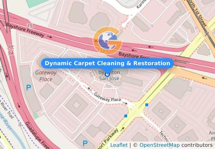 Dynamic Carpet Cleaning & Restoration