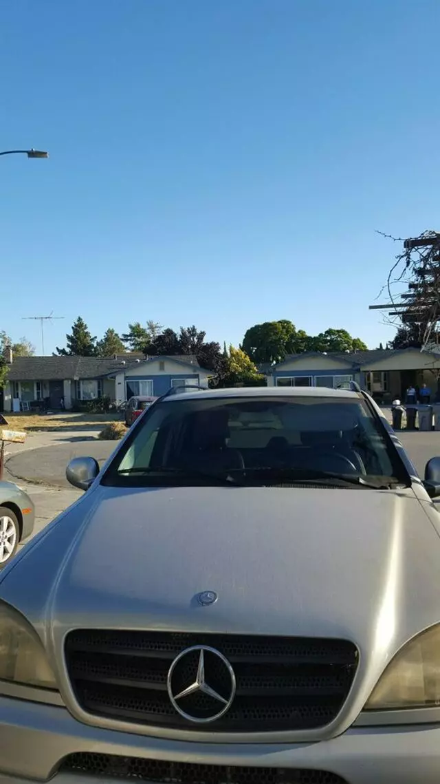 Peter Auto Body