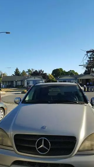 Peter Auto Body