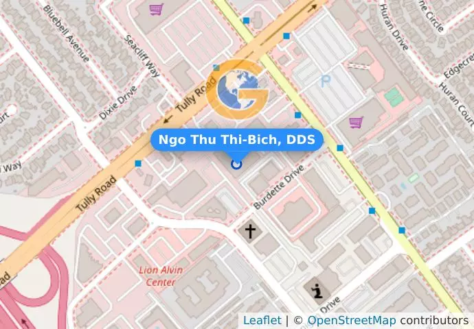 Ngo Thu Thi-Bich, DDS