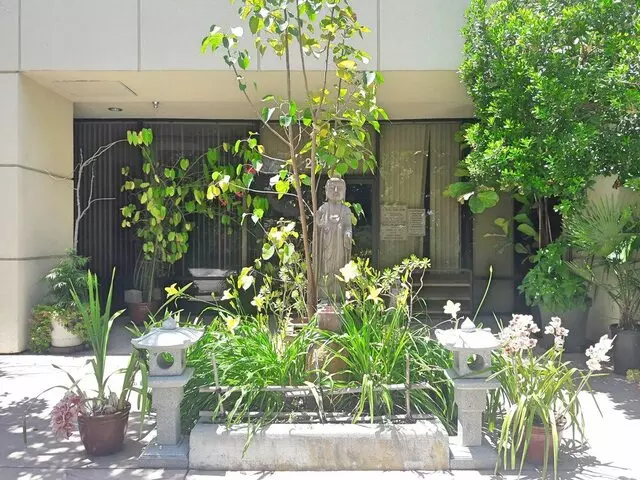 ShinKaiRyu KoToku dojo