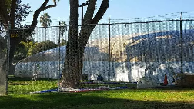 AnT Swim School