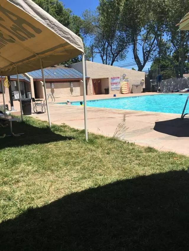 AnT Swim School