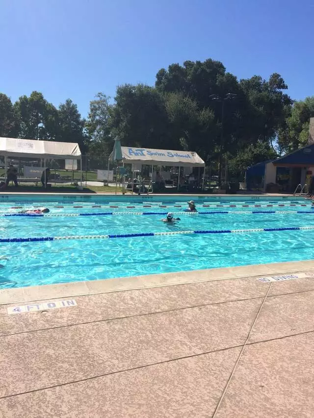 AnT Swim School