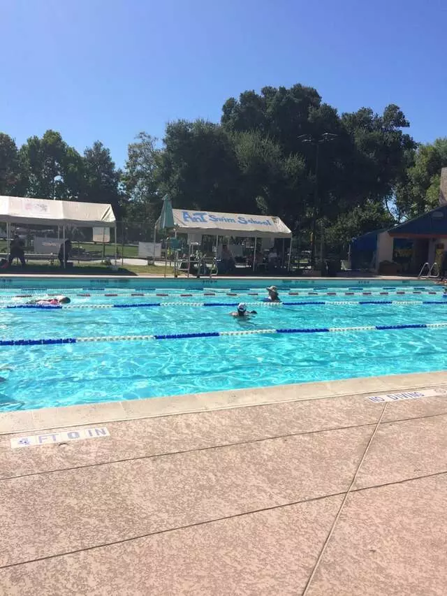AnT Swim School