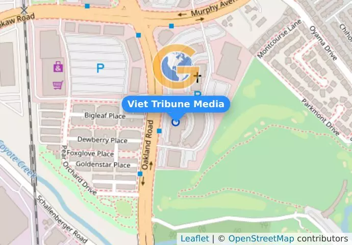 Viet Tribune Media