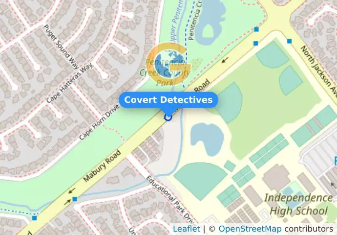 Covert Detectives