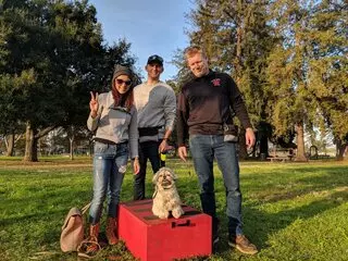 Canine Tutors
